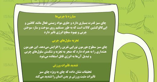 اینفوگرافیک | چرا چای سبز لاغرتان میکند؟ اینفوگرافیک | چرا چای سبز لاغرتان میکند؟