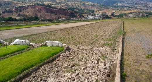 آتش بی‌آبی در شالیزاران رستم‌آباد گیلان