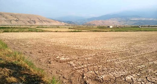 آتش بی‌آبی در شالیزاران رستم‌آباد گیلان
