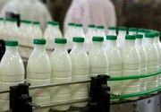 زنگ‌های گرانی لبنیات به صدا درآمد/ افزایش ۳۰ درصدی قیمت شیرخام