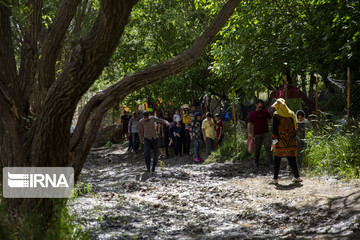 تنگ براق در شیراز
