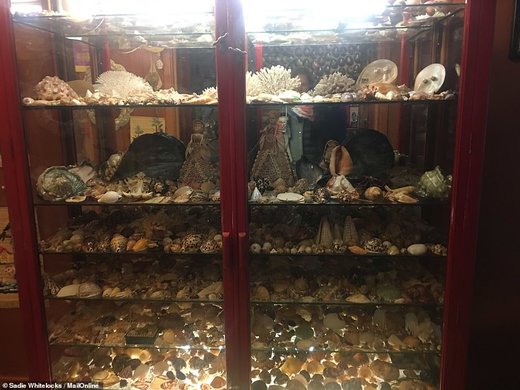 موزه صدف در نیوزیلند