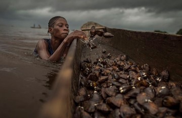 عکس | صید صدف در عمق ۴ متری در عکس روز نشنال جئوگرافیک