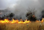 ۶ هکتار از اراضی ملی گلوگاه آتش گرفت