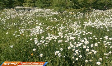 باغ گیاه شناسی ملی ایران