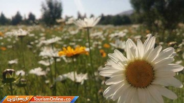 باغ گیاه شناسی ملی ایران