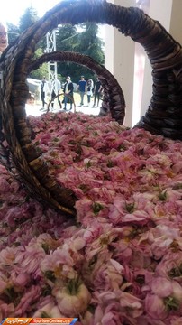 باغ گیاه شناسی ملی ایران