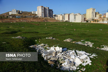 هجوم زمین‌خواران بر درختان سراب قنبر کرمانشاه