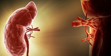پیوند عضو طی ۱۵ سال گذشته ۶۰ برابر افزایش یافته است
