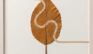 تصاویر | کار عجیب و غریبی که هنرمند سوییسی انجام می دهد!