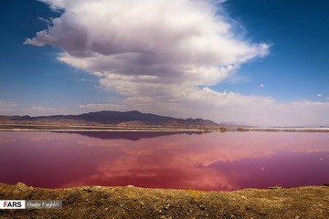 کشند سرخ در دریاچه مهارلو