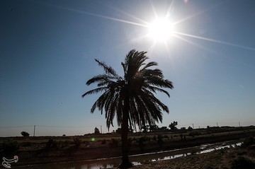 کاهش شدید آب رودخانه کرخه نور در هویزه