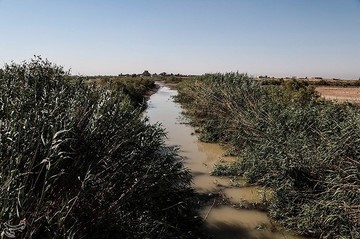 کاهش شدید آب رودخانه کرخه نور در هویزه