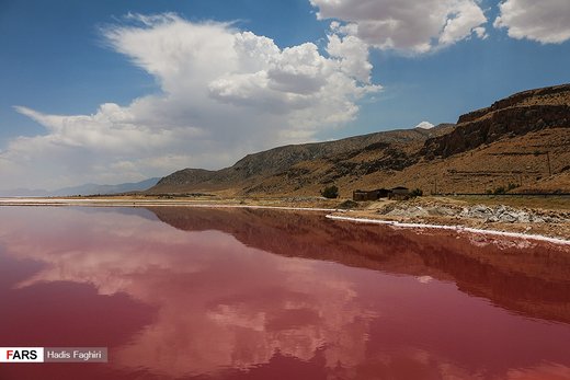 کشند سرخ در دریاچه مهارلو