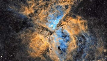 تصاویر | ارسال عکس برای افراد بالای ۱۶ سال مجاز است! 