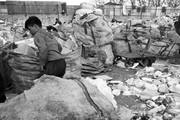 ماجرای تخریب کپرها و گاراژهای زباله‌گردها در تهران چه بود؟