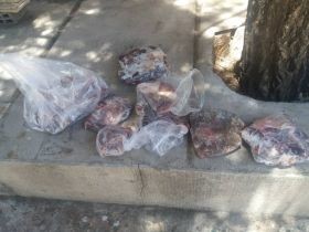 دستگیری متخلف شکار گراز در شهرستان چگنی