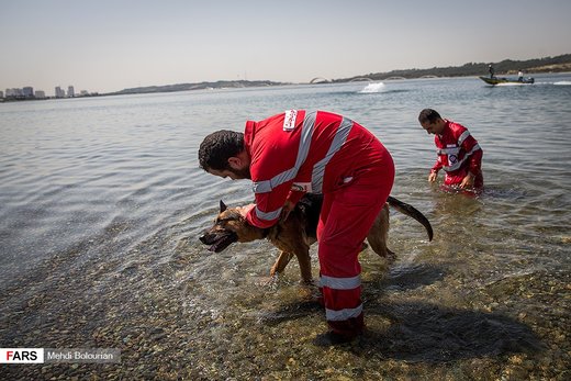 مانور‌ سگ‌های‌ جستجو و نجات‌ هلال‌احمر در دریاچه شهدای خلیج فارس