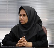 سفرهایی برای حفاظت از صلح