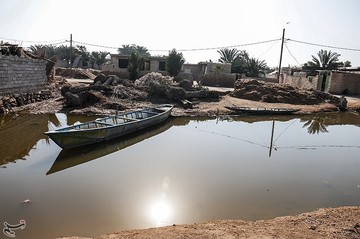 تالاب بین‌المللی شادگان