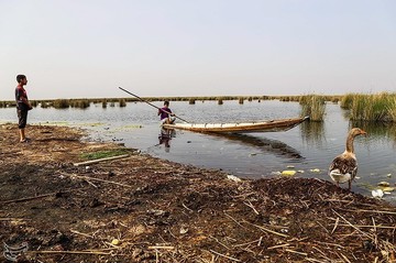 تالاب بین‌المللی شادگان