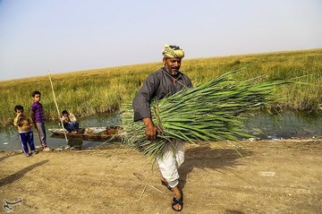 تالاب بین‌المللی شادگان