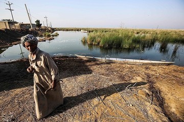 تالاب بین‌المللی شادگان