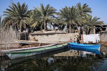تالاب بین‌المللی شادگان