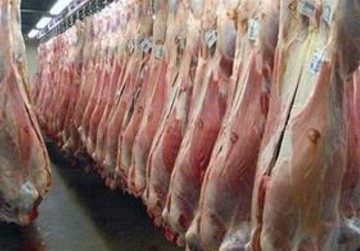 واسطه‌ها نمی‌گذارند ‌گوشت ارزان شود 