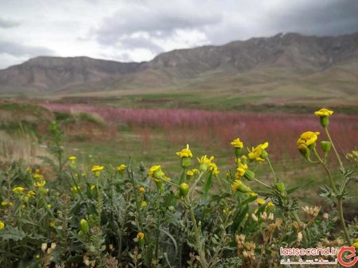 منطقه حفاظت شده ملوسان را چقدر می‌شناسید؟