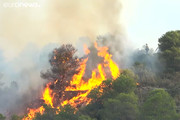 فیلم | بدترین آتش‌سوزی ۲۰ سال گذشته در جنگل‌های اسپانیا