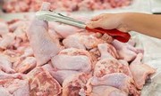 آخرین تصمیم ستاد تنظیم بازار در خصوص قیمت مرغ