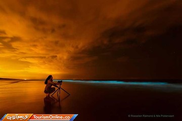 پدیده شب تاب دریایی در سواحل هلند