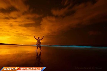 پدیده شب تاب دریایی در سواحل هلند