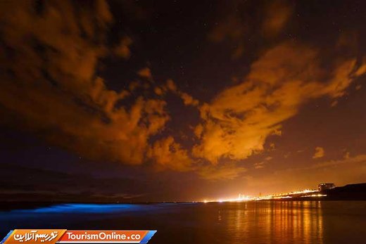 پدیده شب تاب دریایی در سواحل هلند