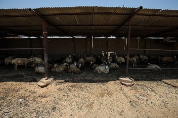 روستاهای منطقه نفت‌خیز کریت امیدوار اما تشنه و خسته