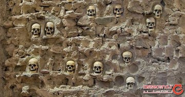 موزه‌هایی در دنیا که از عجیب‌ترین چیزها نگهداری می‌کنند