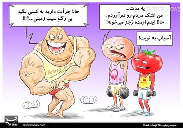 سیب‌زمینی هم داره شاخ و شونه می‌کشه! 