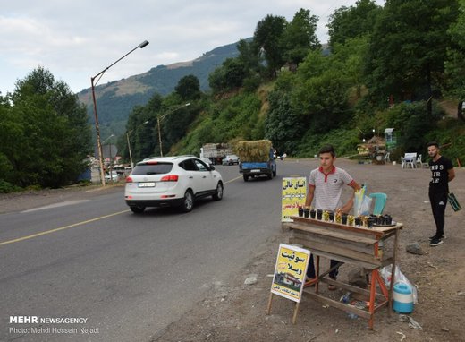 فروش تمشک و آلوچه جنگلی در حاشیه جاده حیران