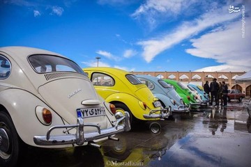 عکس | رنگین‌کمانی از فولکس قورباغه‌ای‌ها در نصف جهان!