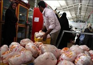 چرا مرغ در فصل گرما باز هم گران شد؟