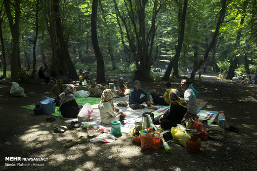 تفریح خانوادگی در خنکای تابستان گلستان