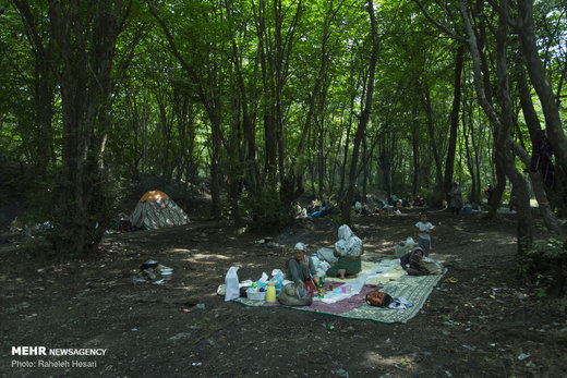 تفریح خانوادگی در خنکای تابستان گلستان