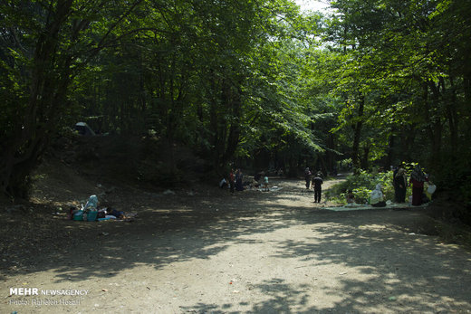 تفریح خانوادگی در خنکای تابستان گلستان