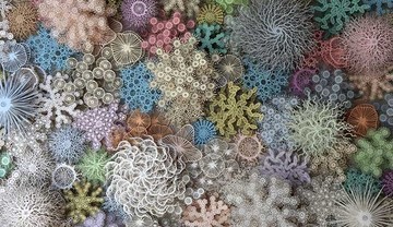 تصاویر | چشم‌اندازهای زیردریایی؛ جادویی در کار نیست!