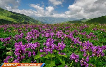 منطقه کوهستانی خوسورتی گرجستان
