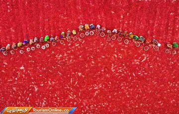 سفر به دور دنیا با طعم شغل‌ها