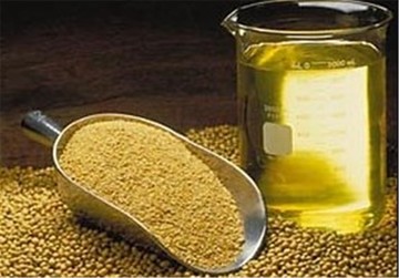 نامه وزیر صنعت به همتی: فورا ارز صنایع روغن نباتی را بدهید