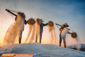 سفر به دور دنیا با طعم شغل‌ها