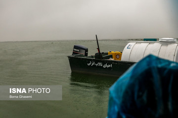 احیای تالاب انزلی به روش بایوجیمی